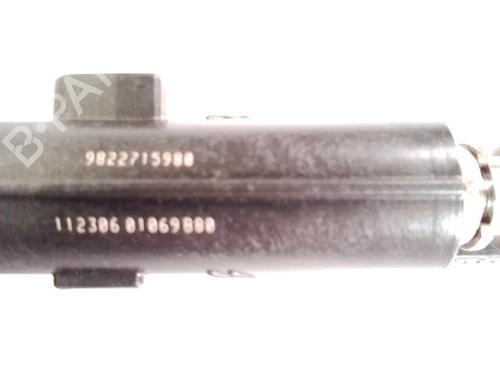 Injector PEUGEOT 208 II (UB_, UP_, UW_, UJ_) 1.2 PureTech 100 | BP30846233M100