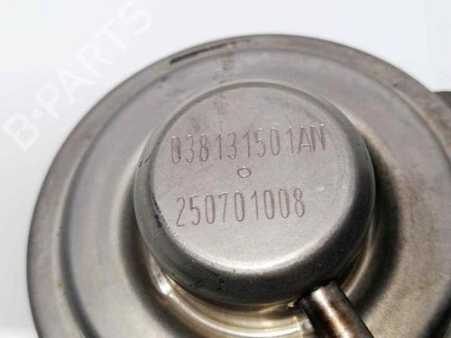Egr VW GOLF V (1K1) 2.0 SDI | BP23419438M69