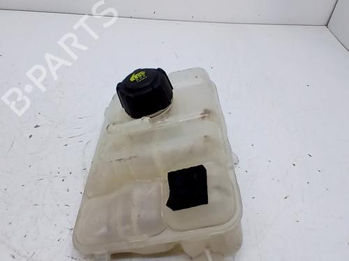 expansion-tank-renault-megane-iv-hatchback-b9amn_-2015-38407901 main image