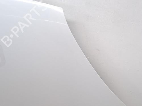 Hood RENAULT KANGOO / GRAND KANGOO II (KW0/1_) 1.5 dCi 90 (KW18) | BP27557169C1