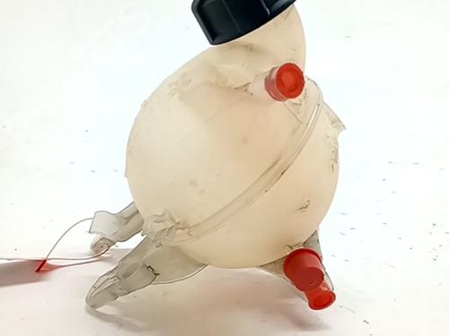 Used Expansion tank CITROËN C3 Picasso (SH_) 1.6 HDI 90 (92 hp) 30898276