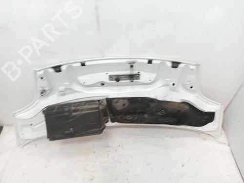 Hood OPEL VIVARO A Van (X83) 2.5 DTI (F7) | BP23364109C1