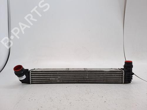 Used Intercooler RENAULT MEGANE II Saloon (LM0/1_) 1.5 dCi (LM0F, LM0T, LM2B) (82 hp) 28037274