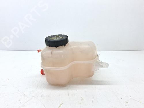 Used Expansion tank MG MG ZS SUV (AZS1) 1.5 VTi (106 hp) 28141775