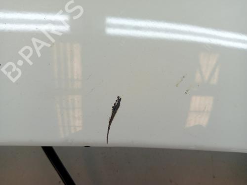 Rear spoiler NISSAN QASHQAI II (J11, J11_) 1.5 dCi | BP23344381C96 