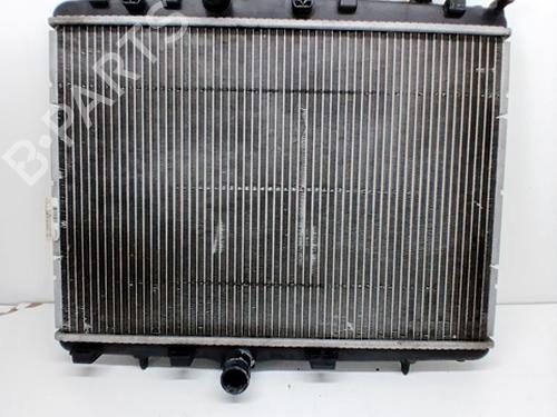 Water radiator PEUGEOT 208 Hatchback Van (CR_) 1.6 Blue HDi 100 | BP29990915M31 
