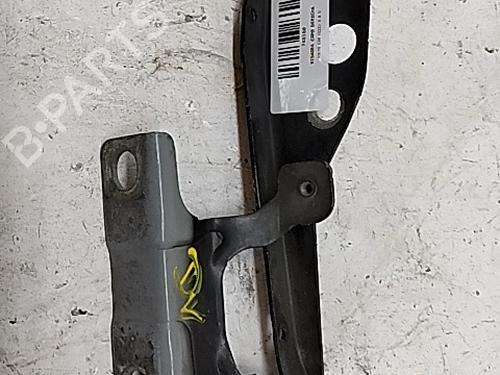 Hinge/Door check strap VOLVO C30 (533) 2.0 D | BP29500200C146 