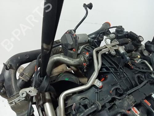 Engine AUDI Q5 (8RB) 2.0 TDI | BP29228374M1 