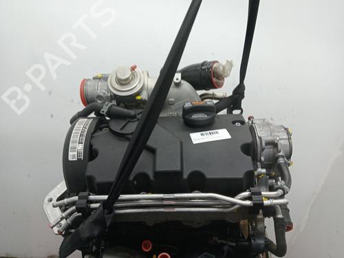 Motor SEAT IBIZA III (6L1) 1.4 TDI (70 hp) 24466847