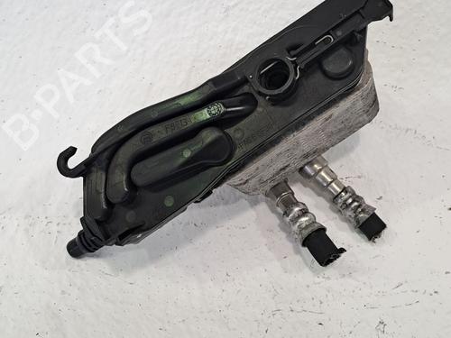 Hinge/Door check strap BMW 5 (E60) 530 i xDrive | BP25999490C146 