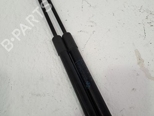 Hood lift support BMW X1 (E84) sDrive 20 d | BP27462047C139 