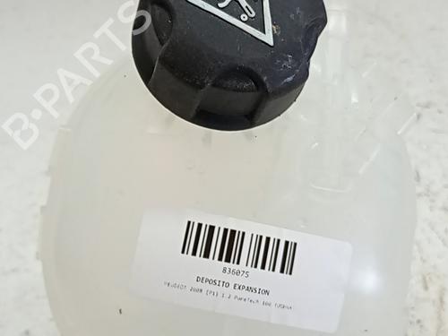 Ekpansionstank Ekpansionstank PEUGEOT 2008 II (UD_, US_, UY_, UJ_, UR_, UC_) 1.2 PureTech 100 (USHNK) (101 hp) 34005079 34005079