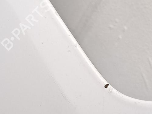 Hood RENAULT KANGOO / GRAND KANGOO II (KW0/1_) 1.5 dCi 90 (KW18) | BP27557169C1