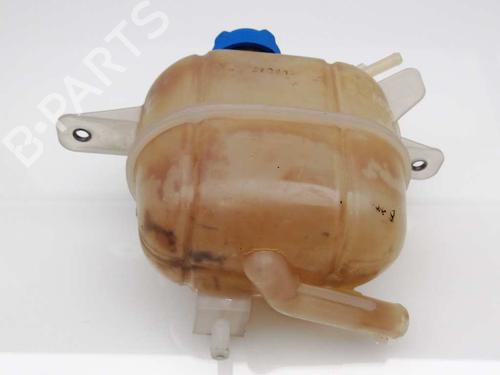 Used Expansion tank FIAT QUBO (225_) 1.3 D Multijet (225CXB1A, 225AXB1A, 225CXB11, 225AXB11,... (75 hp) 23387218