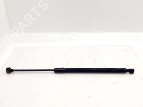 Tailgate lift support AUDI A5 (8T3) 2.0 TDI | BP31609603C138 