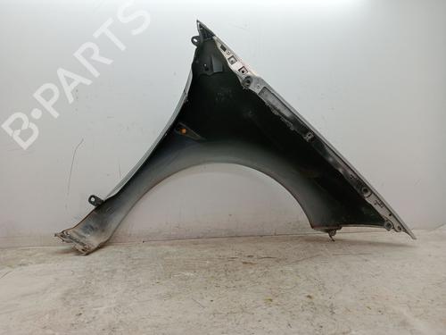 Left front fenders RENAULT MEGANE II (BM0/1_, CM0/1_) 1.5 dCi (BM02, BM13, BM2A, CM02, CM13) | BP23372418C41 