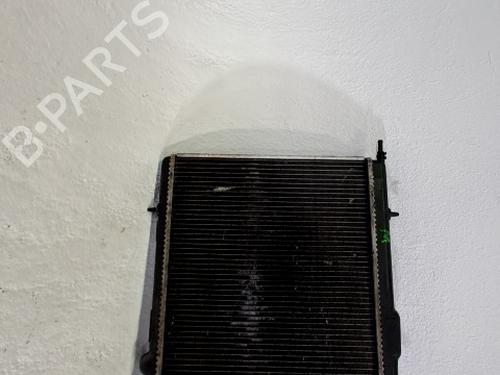 Water radiator PEUGEOT 206 Hatchback (2A/C) 1.9 D | BP29852256M31