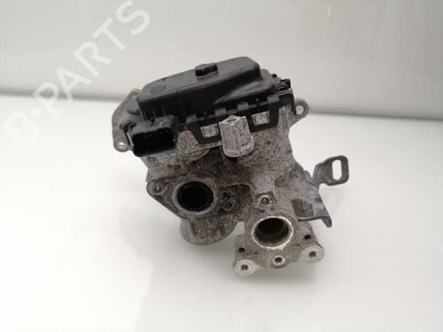 Used Egr CITROËN C4 II (NC_) 1.6 BlueHDi 100 (99 hp) 23458428