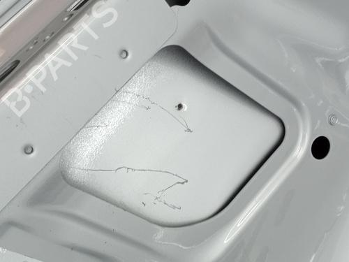 Tailgate MERCEDES-BENZ E-CLASS (W211) E 220 CDI (211.008) | BP24515247C6 