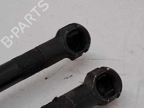 Tailgate lift support LEXUS NX (_Z1_) 300h AWD (AYZ15, AYZ15_, AYZ15R) | BP25783385C138 