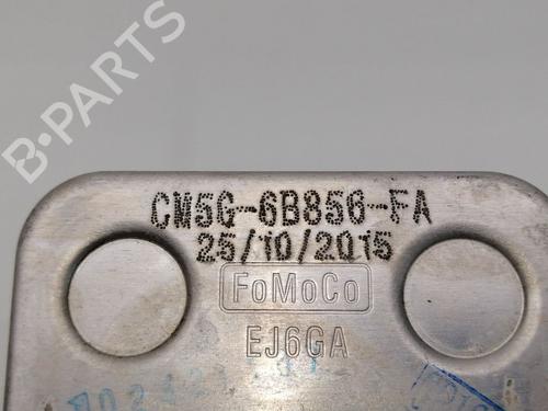 Oliekøler FORD TRANSIT Van (FA_ _) 2.4 DI (FAA_, FAB_, FAC_, FAD_) | BP23385835M33 