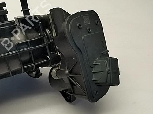 Manifold Indsugning PEUGEOT 208 II (UB_, UP_, UW_, UJ_) 1.2 PureTech 100 | BP29558904M70 