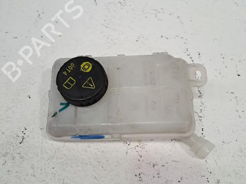 Used Expansion tank RENAULT TRAFIC III Van (FG_) 1.6 dCi 95 (FGMJ, FGMR) (95 hp) 27463240