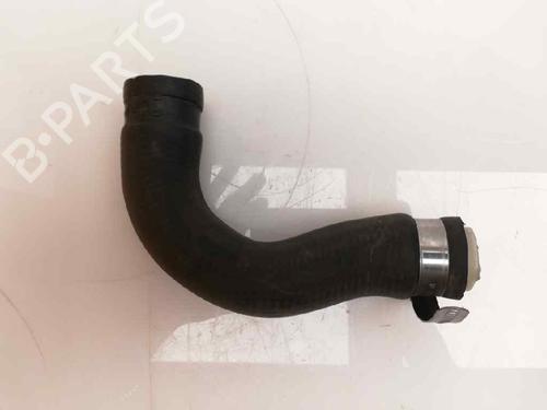 Pipe NISSAN CABSTAR E (TL_, VL_) 125.35, 125.45 (TL0, VL0) | BP26169195M125 