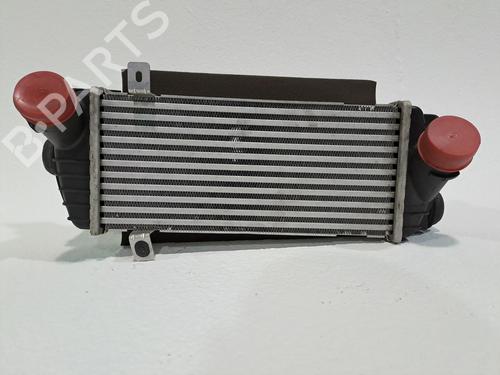 Used Intercooler HYUNDAI TUCSON (NX4E, NX4A) 1.6 CRDi Hybrid 48V (136 hp) 23976071
