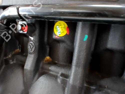 Engine MG MG ZS SUV (AZS1) 1.5 VTi | BP29556664M1 
