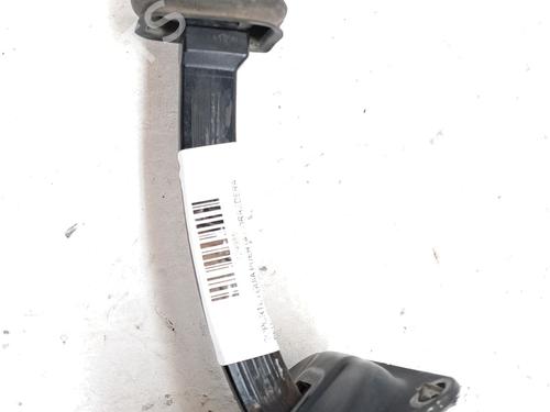 Used Hinge/Door check strap PEUGEOT EXPERT Van (V_) 1.6 BlueHDi 95 (95 hp) 29025093