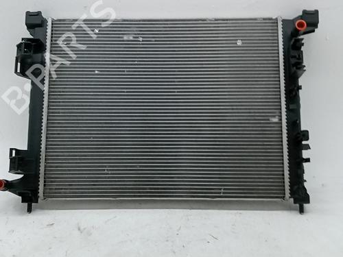 Used Water radiator Water radiator RENAULT 5 E-Tech 120 (122 hp) 40006607 40006607
