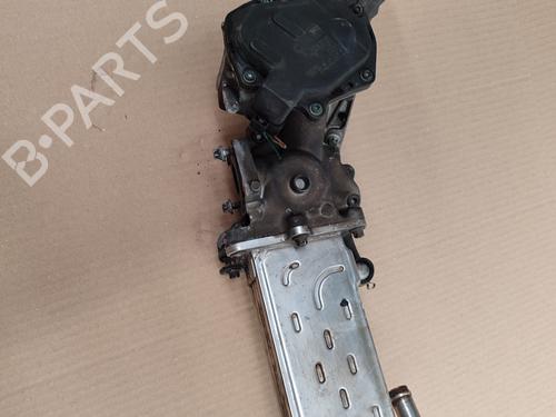 Egr MERCEDES-BENZ E-CLASS (W212) E 200 CDI / BlueTEC (212.005, 212.006) | BP24950998M69