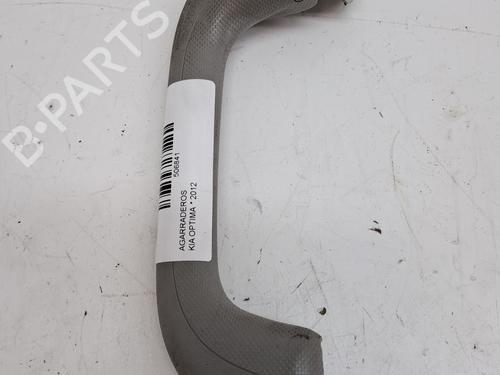 Used Interior roof handle KIA OPTIMA (FSGDS6B) 1.7 CRDi (136 hp) 23365455