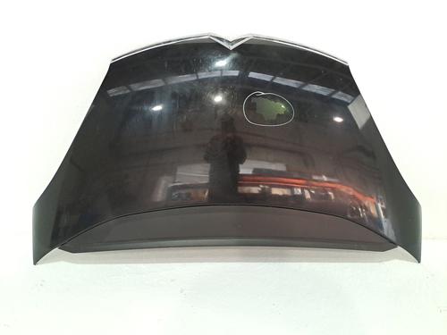 Hood CITROËN C4 Grand Picasso I (UA_) 1.6 VTi 120 | BP24445318C1