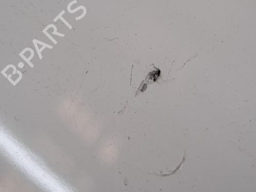 Tailgate SUZUKI ALTO VII (GF, HA25_, HA35_) 1.0 (AMF310, GFC31S) | BP23370465C6 