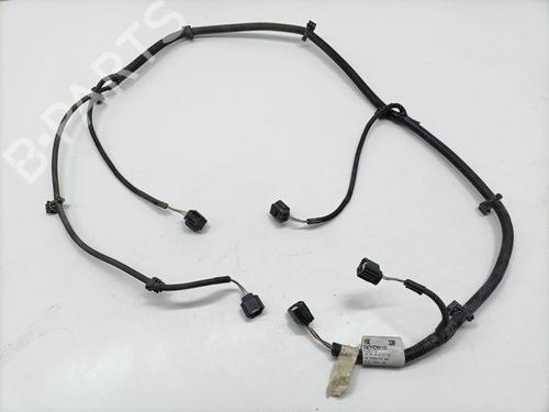 Used Cable RENAULT FLUENCE (L3_) 1.5 dCi (L30D, L30L, L306, L33F, L33L, L33M, L33V, L33W) (110 hp) 25455810