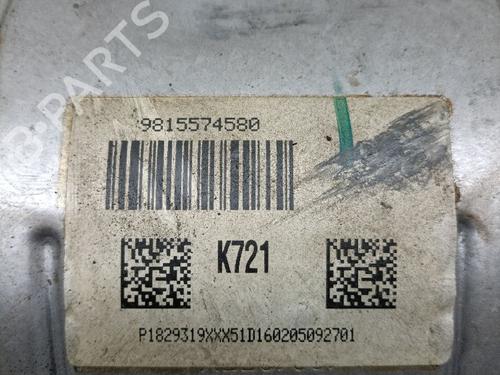 Catalyst PEUGEOT PARTNER Box Body/MPV 1.6 BlueHDi 100 | BP26538508M10