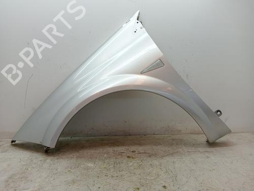 Left front fenders RENAULT MEGANE II (BM0/1_, CM0/1_) 1.5 dCi (BM02, BM13, BM2A, CM02, CM13) | BP23372418C41 