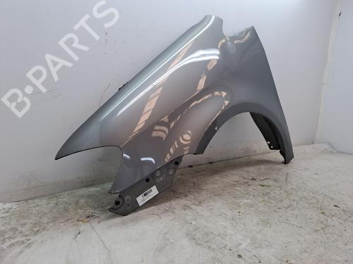 Left front fenders VW TOURAN (1T1, 1T2) 2.0 TDI 16V | BP23371179C41 
