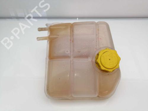 Used Expansion tank FORD TOURNEO CONNECT 1.8 TDCi (90 hp) 23387469