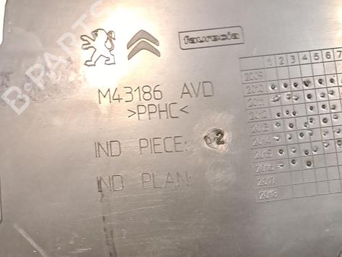 Front right panel CITROËN C4 II (NC_) 1.6 BlueHDi 100 | BP24445244C59 