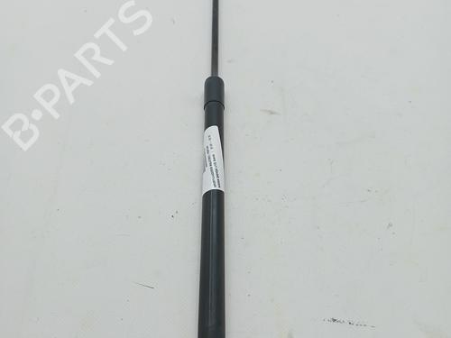 Used Tailgate lift support NISSAN QASHQAI / QASHQAI +2 I (J10, NJ10, JJ10E) 1.6 (114 hp) 23344746