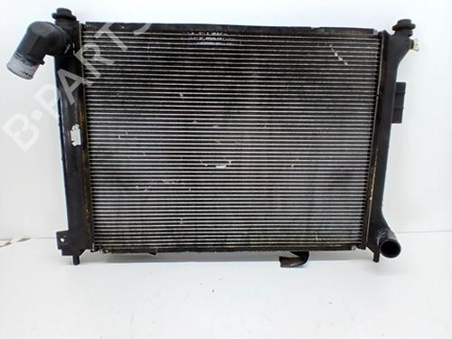 Water radiator HYUNDAI i20 I (PB, PBT) 1.2 | BP29990841M31