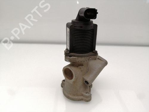 Egr FIAT QUBO (225_) 1.3 D Multijet (225CXB1A, 225AXB1A, 225CXB11, 225AXB11,... | BP23405043M69 