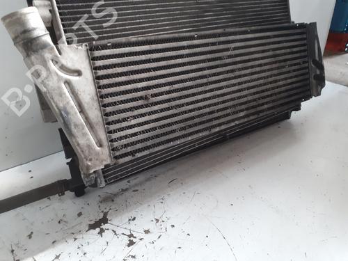 Intercooler RENAULT MEGANE II (BM0/1_, CM0/1_) 1.9 dCi (BM0G, CM0G) | BP25459980M30 