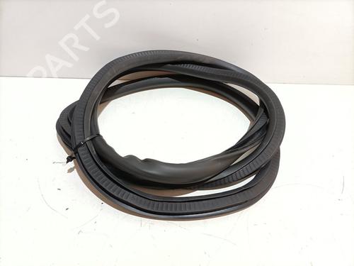 Rubber door seal OPEL INSIGNIA A Saloon (G09) 2.0 CDTI (69) | BP25455619C142 
