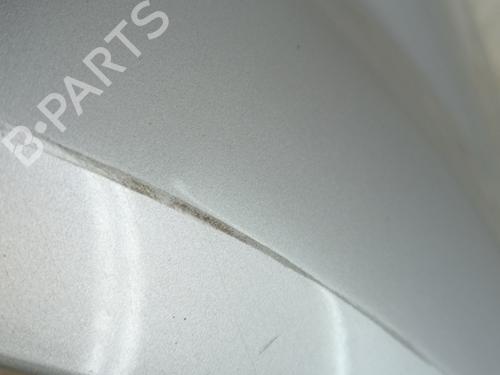 Left front fenders RENAULT MEGANE II (BM0/1_, CM0/1_) 1.5 dCi (BM02, BM13, BM2A, CM02, CM13) | BP23372418C41 