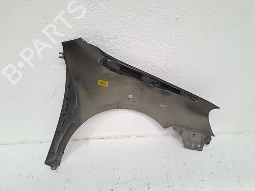 Left front fenders VW GOLF V (1K1) 2.0 TDI 16V | BP27274844C41 