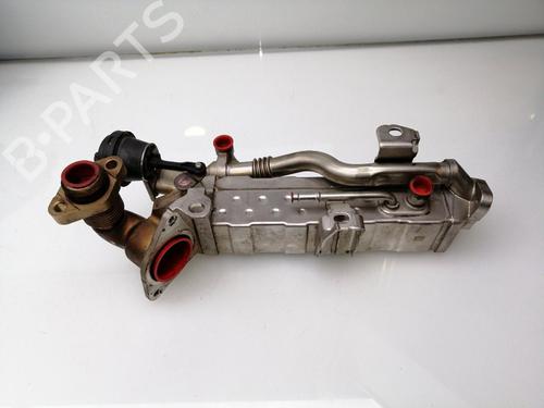 Egr BMW 5 Touring (F11) 520 d xDrive | BP25255196M69 